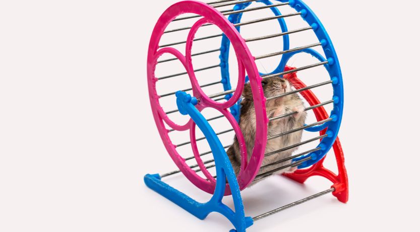 5 Ways to Refresh Yourself When You Don’t Have Time