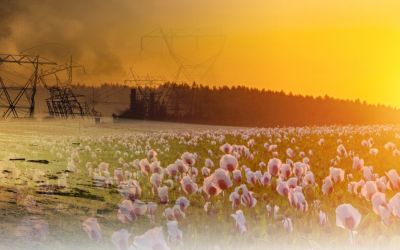Apocalypse in the Bible