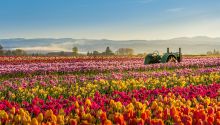 Colorful scenic photo to illustrate the article Caring for God’s Creation