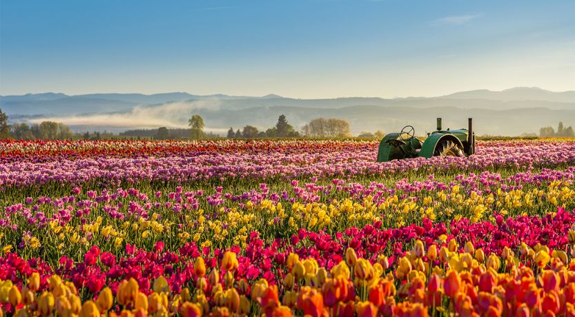 Colorful scenic photo to illustrate the article Caring for God’s Creation