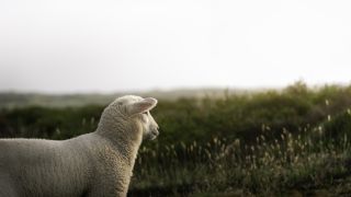 Christ, Our Passover