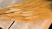 Which Christian festivals did the early New Testament Church celebrate?