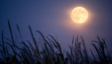Colossians 2:16-17: Did Paul Abolish the Law?