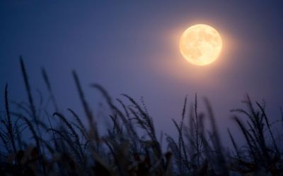 Colossians 2:16-17: Did Paul Abolish the Law?