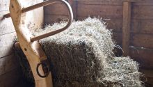 “My Yoke Is Easy”: Is Being a Christian Easy or Hard?