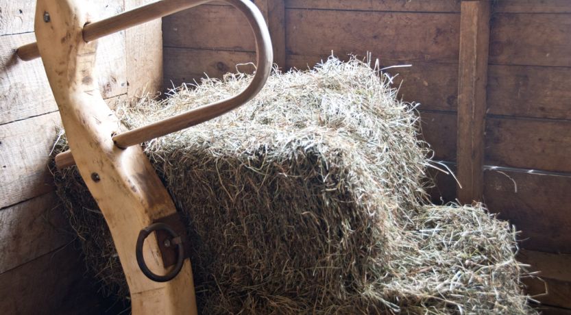 “My Yoke Is Easy”: Is Being a Christian Easy or Hard?