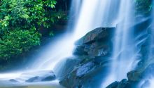 Finding the Fountain of Life