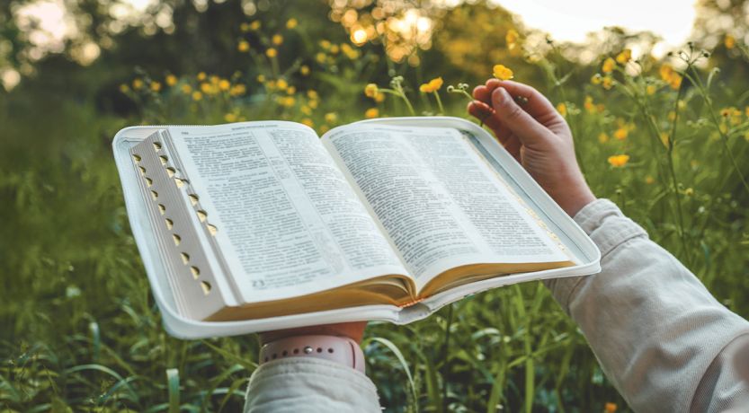 Photo of hands holding a open Bible in a outdoor setting, for the article How the Kingdom Should Change Our Lives Now