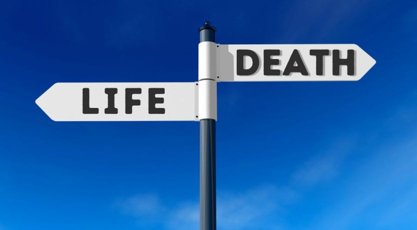 Illustration of a sign pointing to life to the left and death to the right. This is to accompany the article “I Have Set Before You Life and Death.”