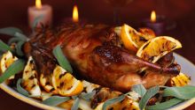 Is Duck Clean Meat?