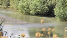 John the Baptist baptized people in the Jordan River.