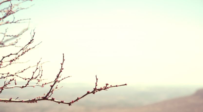 Learning to Live Again