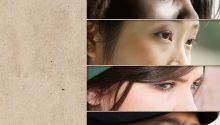 Prejudice: Why It Exists and How It Will End