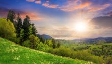 Restoration of All Things