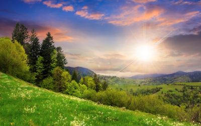 Restoration of All Things