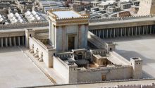 Surprising Truths From the Olivet Prophecy