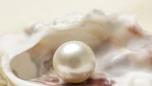 The Kingdom of Heaven Is Like… (parable of the pearl of great price)