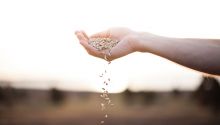 Parable of the Sower: Why People Don’t Understand