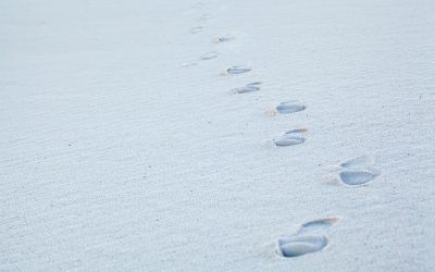 Walk as He Walked