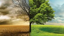 Water in Bible Prophecy