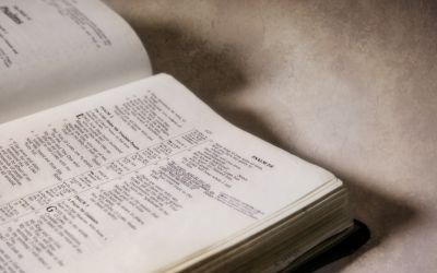 The Writings